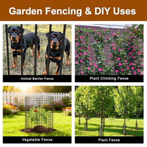 Black Chicken Wire Fencing 16 Gauge, PVC Coated Welded Mesh Fence 2" x 3" Gap, for Vegetable Garden, Yard, Little Animal Protection, Baby Care, and Pet Enclosures DIY Projects 36" x 50 ft - size: 36" x 50 ft