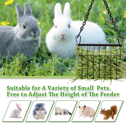 Rabbit hay Feeder Sangle Sopffy 2PCS, Guinea Pig hay Feeder with Metal Frame for Guinea Pig Chinchilla Bunny, Chinchilla cage Accessories (Black-1) - color: black-1