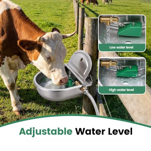 Automatic Dog Water Dispenser with Brass Float Valve