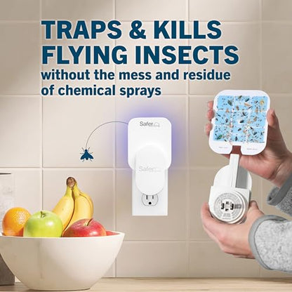 Safer Home Flying Insect Trap Official Refills - size: 12 Safer Home Glue Cards