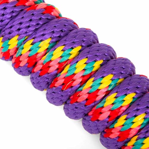 Jeffers Neon Poly Horse Lead Rope with Brass Bolt Snap, 8' - Spiral Purple - color: Purple with Spiral Pattern, size: 5/8inch x 8inch