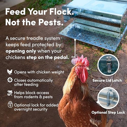 RentACoop Automatic Treadle Chicken Feeder - 40 lb Capacity - style: 40LB Treadle Feeder