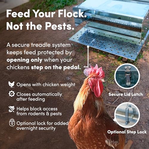 RentACoop Automatic Treadle Chicken Feeder - 25 lb Capacity - style: 25LB Treadle Feeder