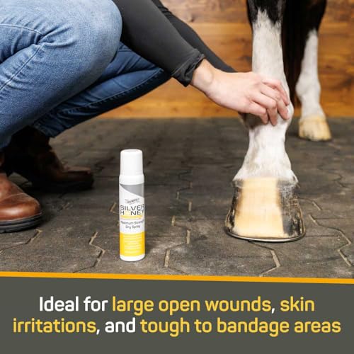 Silver Honey Rapid Wound Repair Maximum Strength Dry Spray 100 ml / 3.38 oz