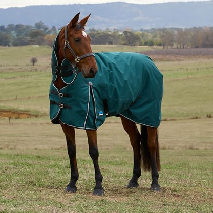 WeatherBeeta ComFiTec Classic Turnout Combo 360g, Forest Green/Black, 69" - size: 69"