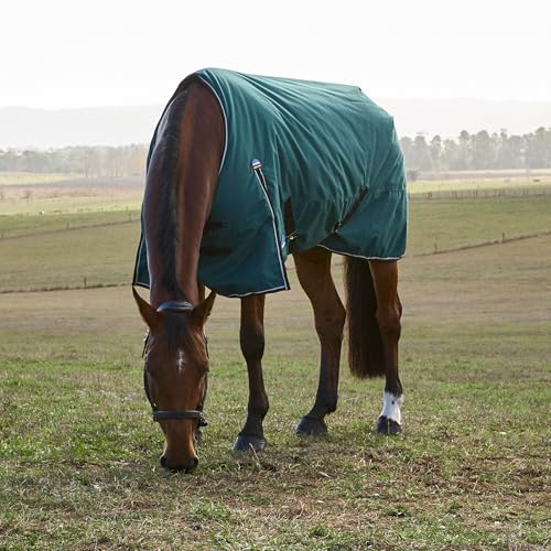 WeatherBeeta ComFiTec Classic Turnout 220g, Forest Green/Black, 84" - size: 84"