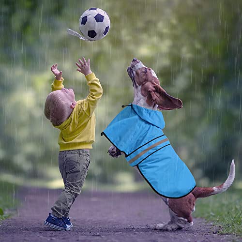 Waterproof Hooded Dog Raincoat - Adjustable Reflective Pet Jacket, Lightweight Dog Slicker Poncho for Small to X- Large Dogs and Puppies (Blue, Large) - color: Blue, size: Large