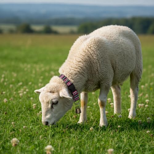 Goat Collars and Bells，Durable Nylon Adjustable Collar (Gradation) - color: Gradation, size: 3 PCS