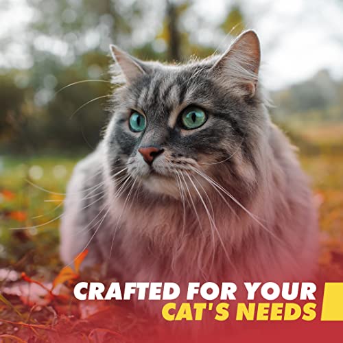 Emergency Zone - Cat Emergency Survival Kit - Bug Out, Emergency, Travel Kits, First Aid - Basic