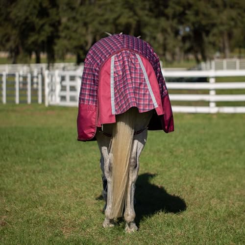 Equinavia Arktis Regular Neck Heavy Turnout Blanket 300g - Cranberry Red - 72 in - color: Cranberry Red, size: 72 in