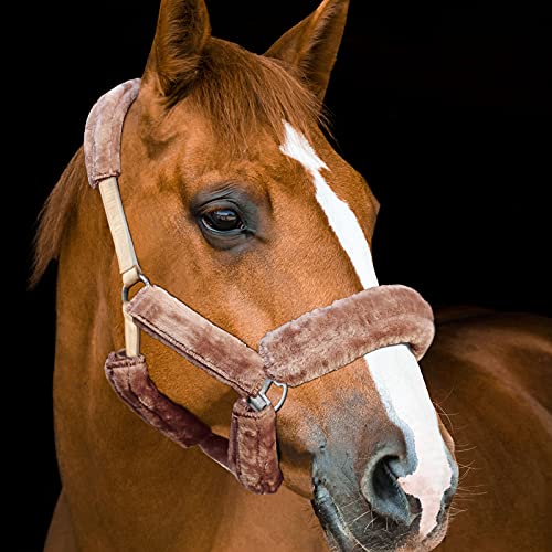 Harrison Howard Horse Halter Fleece Cover Set – Full Coverage Anti-Rub Halter Covers for Horses, Noseband, Chin & Crown Protection, 9-Piece Padding Set Brown - color: Brown