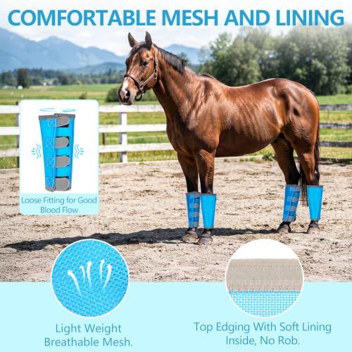 Fly Boots for Horses Set of 4 with Reflective Vercros, Loose Fitting Mesh Horse Fly Boots Leggings, Adjustable Equine Leg Wraps & Socks, Stay Up Not Sag, No Rub - color: Sky Blue