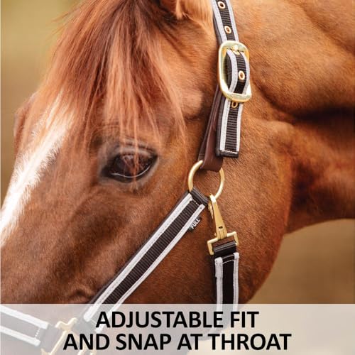 Schneiders Padded Reflective Breakaway Halter for Horses | Adjustable Fit | Safety Leather Tab | Night-Time Visibility - size: Oversize
