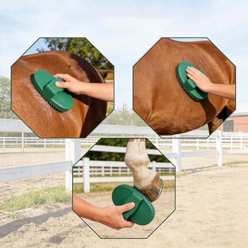 Rubber Curry Comb with Handle Green Large