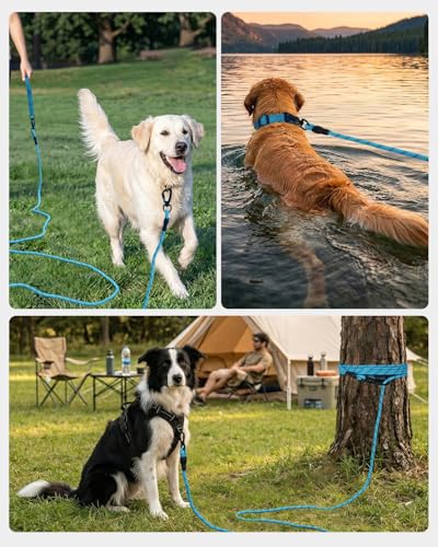Joytale Long Dog Leash for Yard Tie Out & Recall Training, Blue, 50FT - color: Blue, size: 50FT