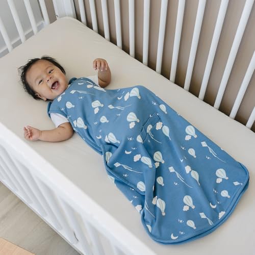 Woolino Toddler Sleeping Bag, 4 Season, Merino Wool and Organic Cotton, Baby Sleep Bag or Sack, 2-4 Years, Hot Air Balloon - color: Hot Air Balloon