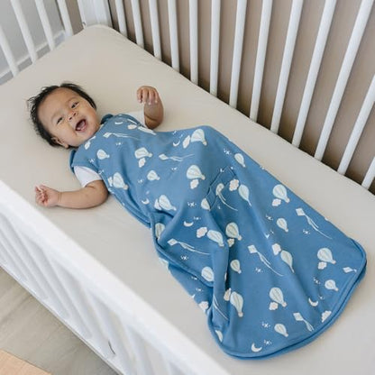 Woolino Toddler Sleeping Bag, 4 Season, Merino Wool and Organic Cotton, Baby Sleep Bag or Sack, 2-4 Years, Hot Air Balloon - color: Hot Air Balloon