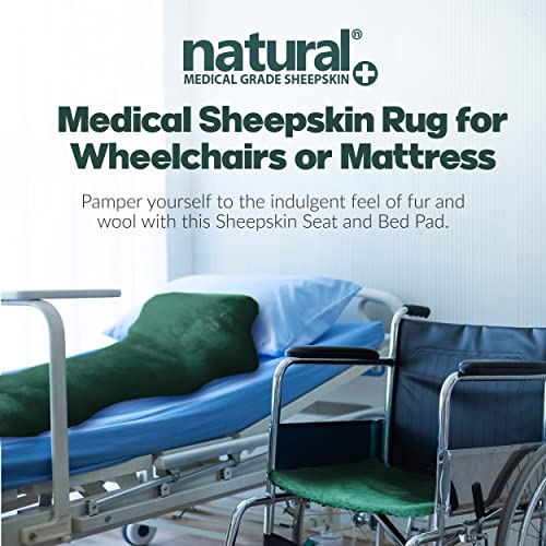 Natural Medical Sheepskin Pad, Non-Slip Back, Emerald, 17 x 17 in, 2 Pack - color: Emerald, size: 17x17 Inch (Pack of 2)