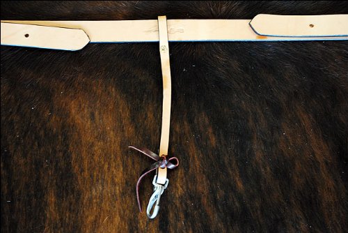 Circle Y Single Ply Plain Flank Cinch w/Billets - color: Ultra Lite