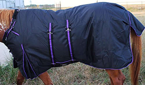 Challenger 1200D Turnout Waterproof Horse Heavy Winter Blanket w/Bellyband Purple 565B - color: Black/Purple Trim, size: 66"