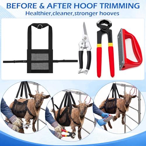 7pcs 8" Farrier Tool Kit, Hoof Rasp Nipper Trimmer Livestock Sling - style: Essential Hoof Care Kit