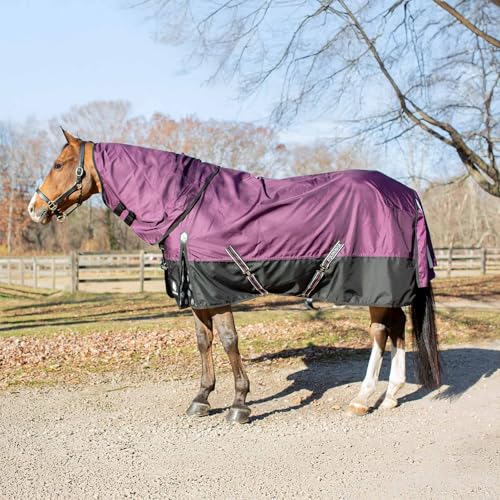 Equinavia Thunder 360 Detachable Neck Light Weight Turnout Blanket 100g - Plum Wine - 75 in - color: Plum Wine, size: 75 in