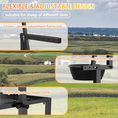 Upgrade Goat Milk Stand with Feed Bin, 400lbs Goat Stand for Grooming & Hoof Trimming, 1mm Thick Platform & Anti-Slip Design, for Pygmy and Dwarf Goats, Firm Head Lock and Adjustable Head - size: M - 38"L x 18"H