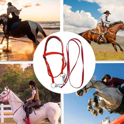 Draft Horse Bridle Anti-Tear Horse Riding Headstall | Equine Snaffle Noseband, Adjustable Soft Lined Equestrian Browband for Outdoor Use - size: Large