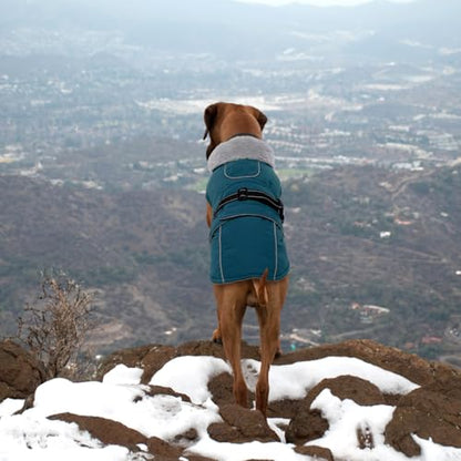 Lelepet Dog Coats for Small Dogs Waterproof Dog Jacket with Adjustable Fit - color: Dark Green, size: S