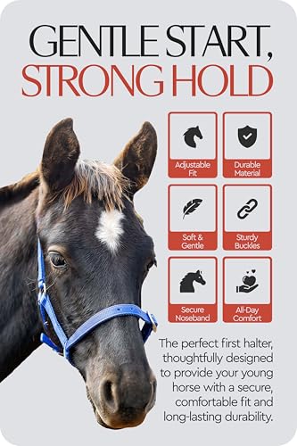 HORZE Adjustable Mini Horse Halter, Nylon Design for Foals, Colts, Fillies - color: Blue