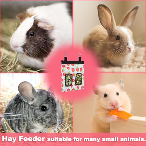 DZWLKJ Rabbit Hay Feeder, 600D Polyester, Hay Feede, Watermelon, Rabbit, Guinea Pig, Chinchilla, Hamsters, Small Pets, 1 Pack, Foldable, Lightweight - size: M -11"x 9"x 1"