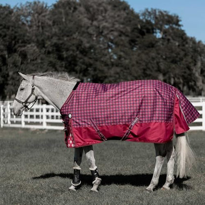Equinavia Arktis Regular Neck Heavy Turnout Blanket 300g - Cranberry Red - 72 in - color: Cranberry Red, size: 72 in