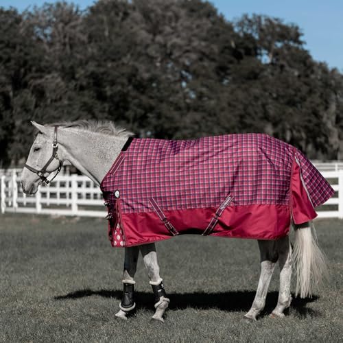Equinavia Arktis Reg. Neck Lightweight Turnout Blanket 100g - Cranberry Red - 75 in - color: Cranberry Red, size: 75 in