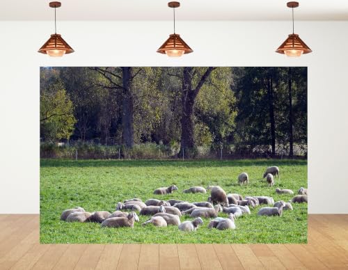 5x3ft Fabric Grass Sheep Pasture Backdrop Flock Wool Sheep Lush Green Meadow Tall Broadleaf Tree Photography Background Tapestry Country Farm Sheep Decorations Photo Booth Props - size: 5x3ft
