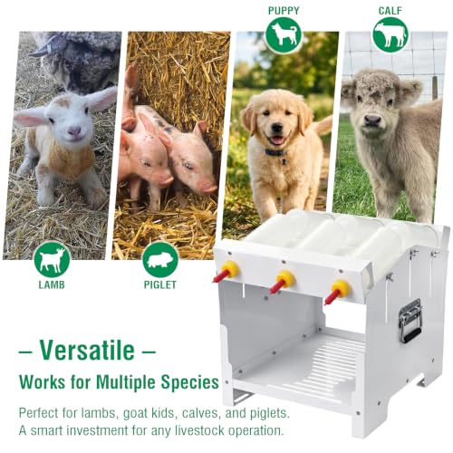 6 Feeding Ports Goat Bottle Feeder Rack with 6 x 500ml Milk Bottles | Double Sided,Free Standing,Portable Lamb Bottle Holder,Galvanized Goat Bottle Feeder Rack For Baby Goats Lambs Piglet Puppy
