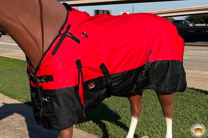 Pony Horse Turnout Blanket HILASON 600D Waterproof Winter Ripstop 400g Fill Belly Wrap Shoulder Gusset Tail Flap - color: Red, size: 56 In