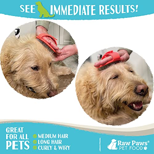 Raw Paws Hand-Held Grooming Pin Brush for Dogs & Cats - Rubber Tipped | Rubber Cat Brush - Pet Grooming Tool - Massage Curry - For Small & Large Dogs, Small Pets & Horses - Long & Short Hair