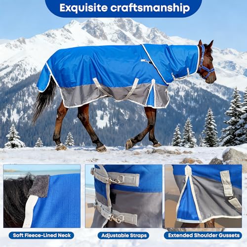1200D Turnout Horse Blanket with Hood, Medium Weight, Blue/Grey, 72 in - color: Blue/Gray, size: 72 IN