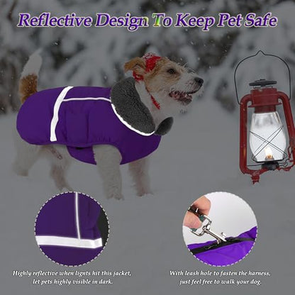 Dogcheer Warm Dog Coat, Christmas Dog Jacket Waterproof Puppy Winter Coat with Buckles, Reflective Adjustable Pet Snow Jacket Turtleneck Fleece Sweater for Small Medium Large Dogs - Purple, M - color: Purple, size: Medium
