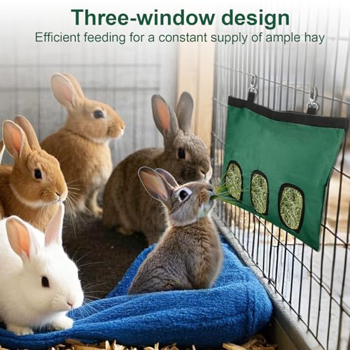 2 Pcs Rabbit Hay Feeder,Guinea Pig Hay Feeder,13×10.8 Inch Guinea Pig Bag,Small Animal Feeding Bag for Rabbits, Hamsters, Hedgehogs(3 Holes,Green) - color: green