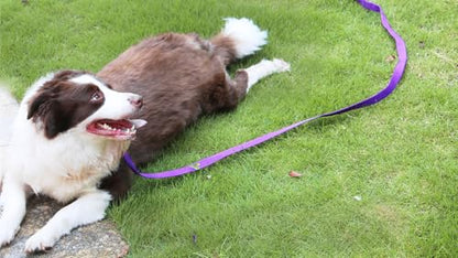 AMAGOOD Dog/Puppy Obedience Recall Training Agility Lead-15 ft 20 ft 30 ft 50 ft Long Leash-for Dog Training,Tie Out,Play,Safety,Camping (15Feet x 1Inch, Purple) - color: Purple, size: 1 Inch x 15 Feet