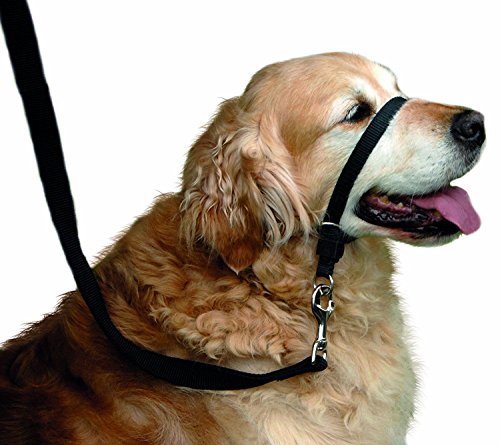 BARKELSS Gentle Dog Head Collar, Adjustable Padded Dog Halter | Dog Halter to Stop Pulling, Soft and Safety Control on Walks, Includes 1 Leash, Training Guide for Breeds - size: L