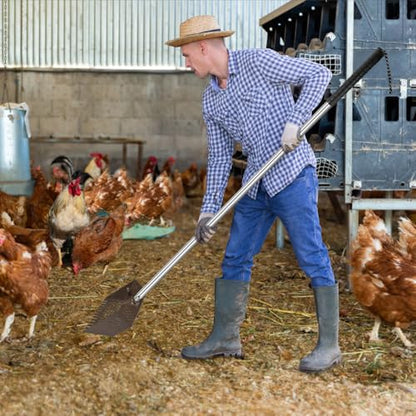 Kalekey Heavy Duty Chicken Coop Rake and Scoop, 15 Inch Extra Large Chicken Coop Rake with Adjustable Stainless Steel Handle (25 to 73 Inch)，Metal Multi-Use Cleaning Shovel for Coops, Beach（Brown）