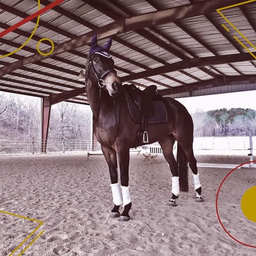 Kavallerie Classic Tendon Boots, Impact-Absorbing Material, Breathable & Evenly Distribute Pressure, Protect Tendon and Ligaments, Anti-Slip, Anti- Sore and Moisture Repellant Show Jumping Boots - color: Support Boots(fleece), Black