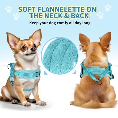 SlowTon No Pull Small Dog Harness and Leash Set with Front Clip | Soft Padded, Neck & Chest Adjustable, Lightweight, Anti-Twist, Puppy Vest Harness Pet Lead Combo for Small Medium Dog, TL S - color: Teal, size: Small