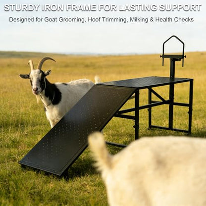 600 Lbs Adjustable Goat Milking & Trimming Stand with Feed Bin Ramp, Heavy Duty Steel Construction Ideal for Sheep & Goat Grooming, Hoof Trimming, and Milking, Livestock Care Equipment (Black)