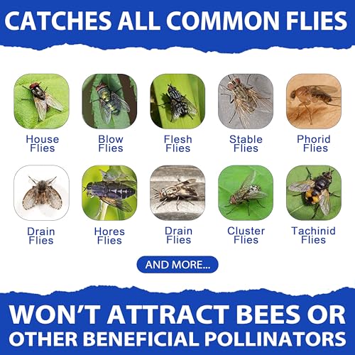 6x30g Fly Bait Fly Trap Refill Packets - size: 6 pack