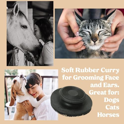 LBH MARKET Mustang Horse Collar 2-Pack (Black), 1" Wide Nylon Neck Strap for High Line Picket Line Tying and Grooming in Crossties for Horses, Includes Rubber Horse Face Brush