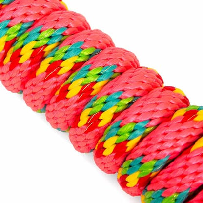 Jeffers Neon Poly Horse Lead Rope with Brass Bolt Snap, 8' - Spiral Pink - color: Pink with Spiral Pattern, size: 5/8inch x 8inch