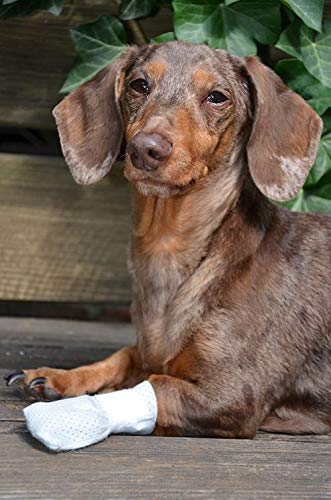 Medimitt Paw Bandages for Dogs, Cats and Pets – Stretchy Medical Booties, First Aid for Paws – Non Slip, Non Adhesive, Breathable, Disposable, Washable, Adjustable Strap, Value Pack (Small 20-Pack) - size: Small 20-pack